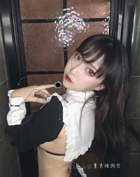 锵锵锵锵锵免费完整观看