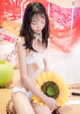 大明王朝下载